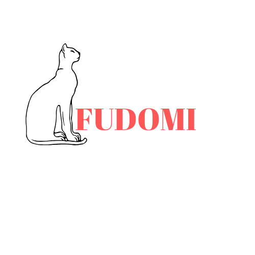 FUDOMI fr